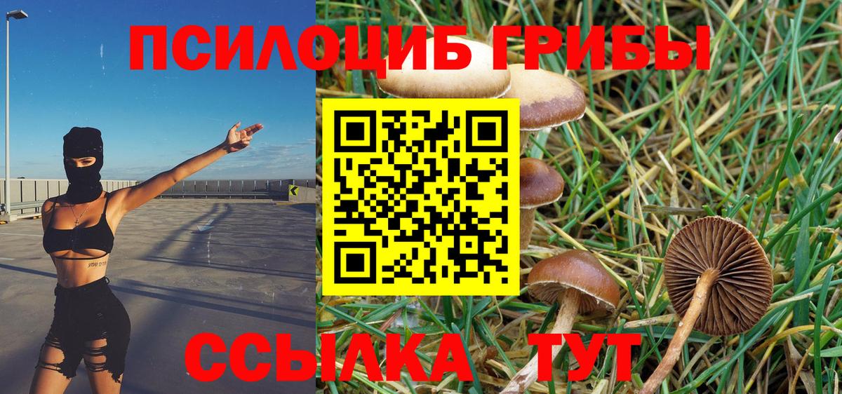 Строитель  цена наркотик  Вход с VPN  Псилоцибиновые грибы MAGIC MUSHROOMS 